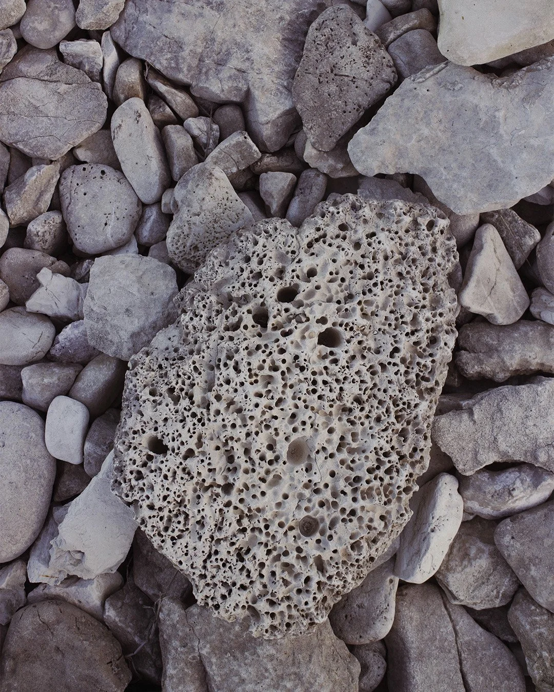 Photographie graphiste à Marseille