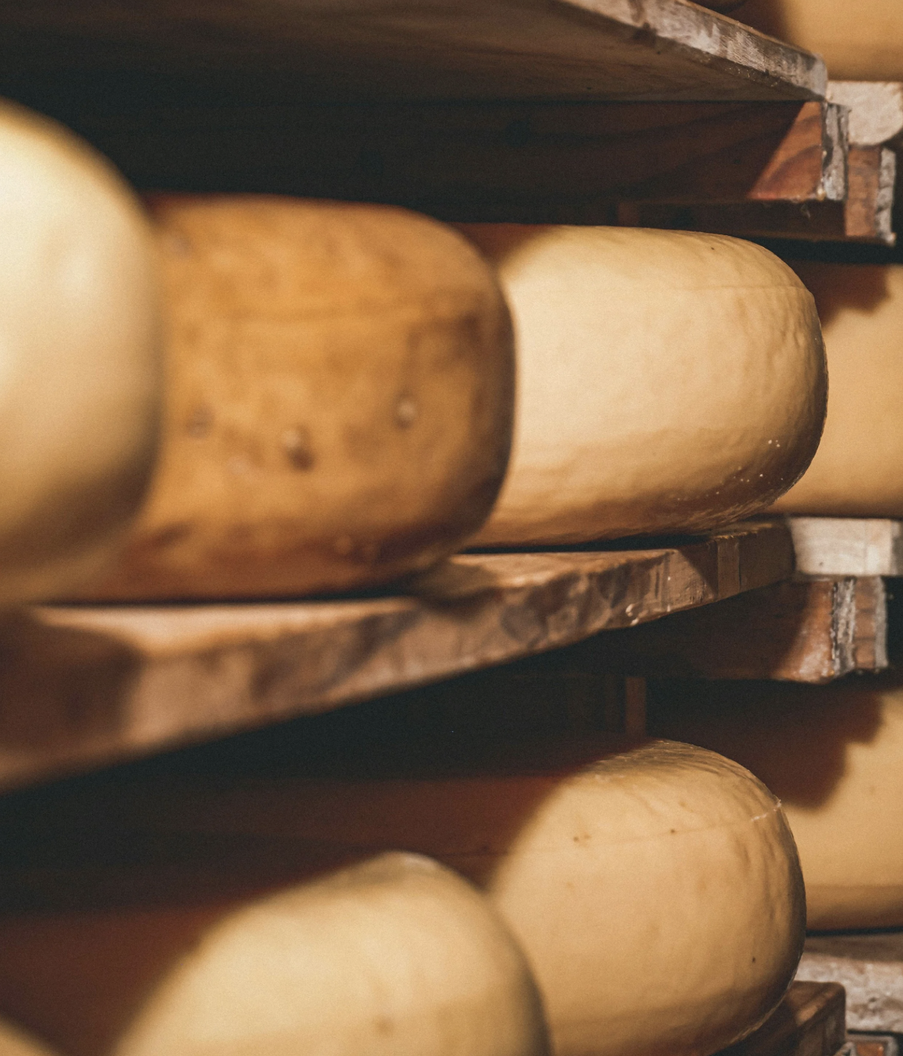 Photographie de fromages