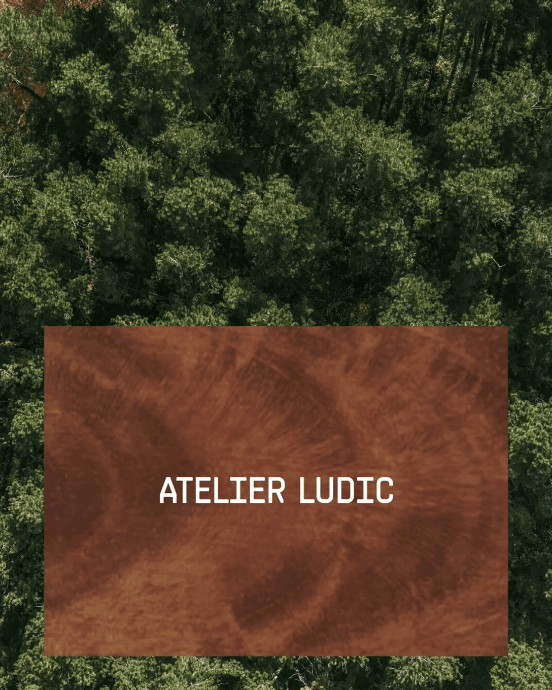 Vue aérienne d'une forêt dense avec un panneau en dessous disant « ATELIER LUDIC » en blanc sur un fond marron.