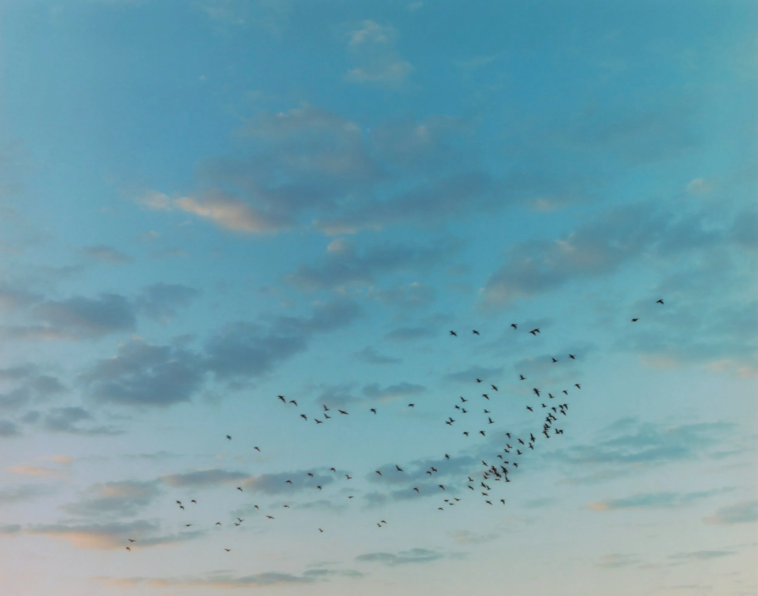 BARFOUT! magazine special edition late winter