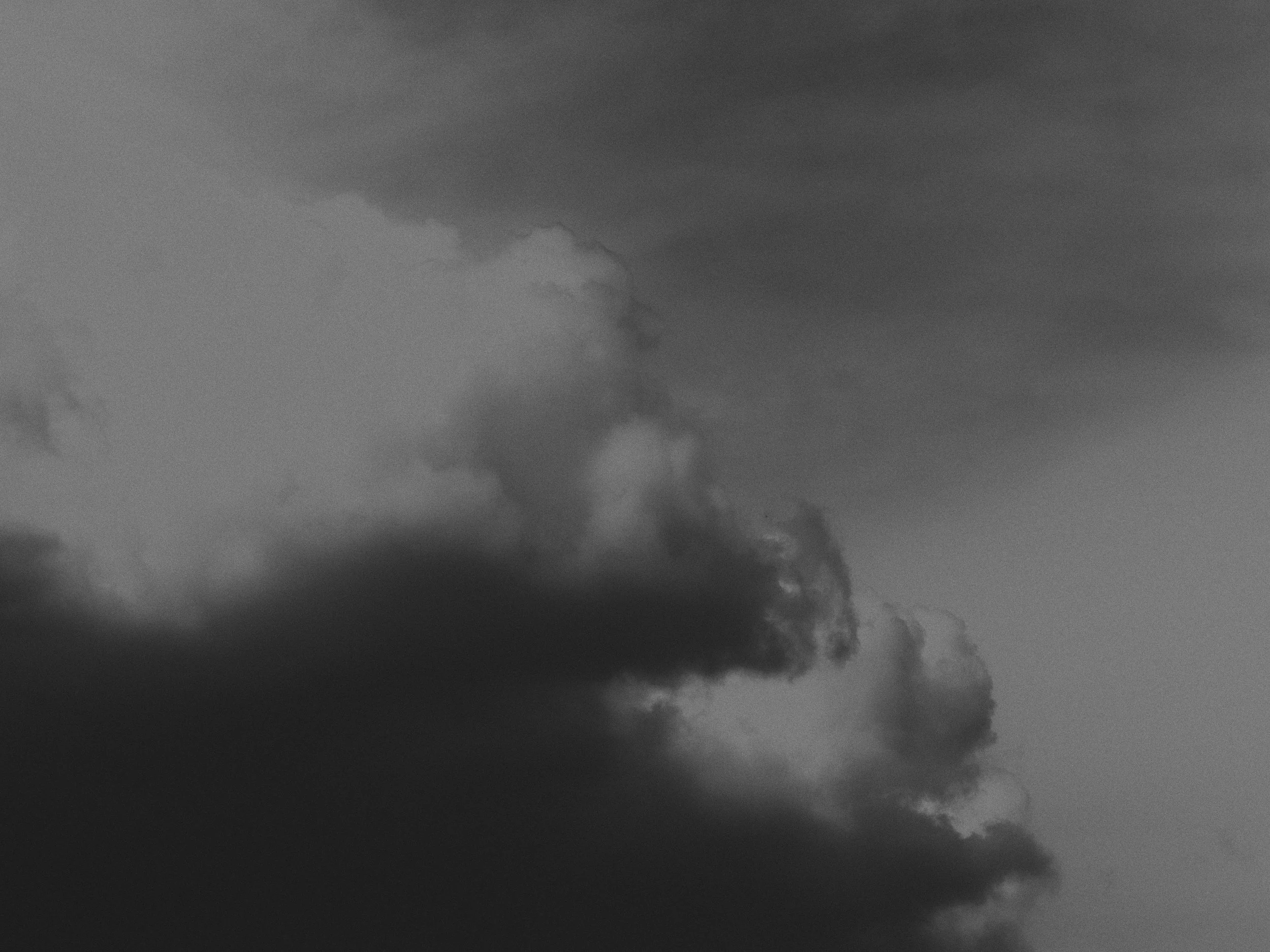 260813_柄酒造_0858.jpg