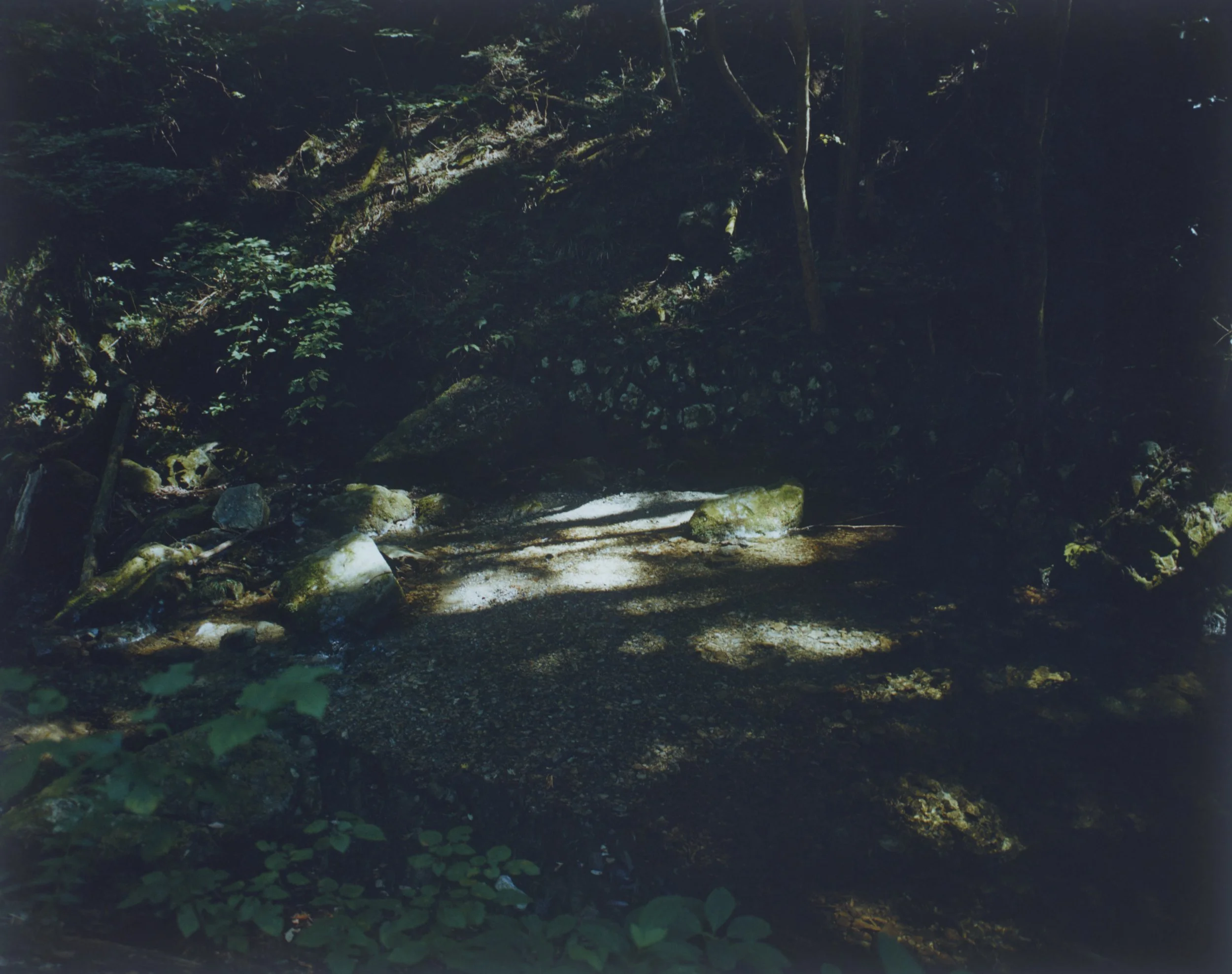 260426_8432.jpg