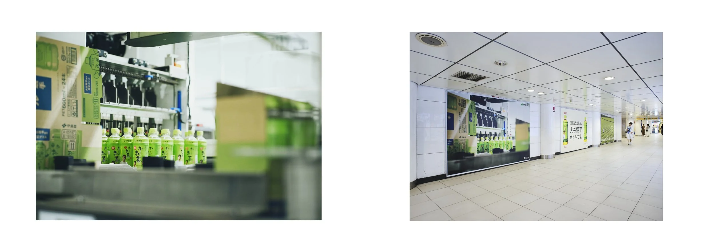 伊藤園『おーいお茶』