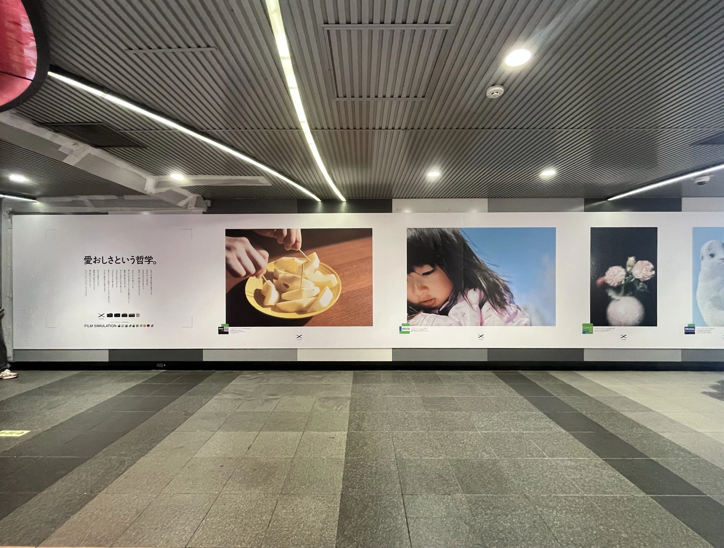 IMG_8882 のコピー.jpg