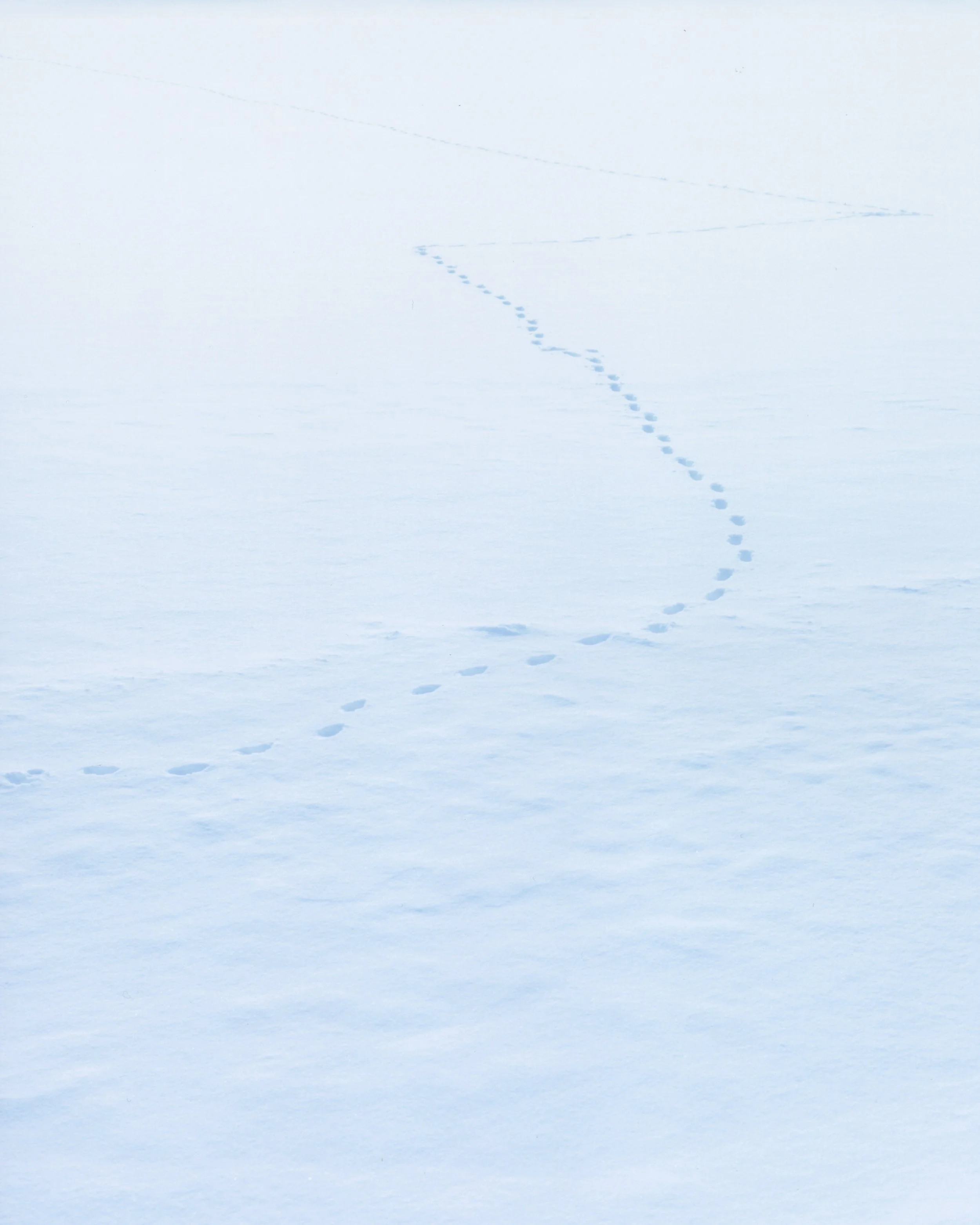 img20250522_13264610 1.jpg