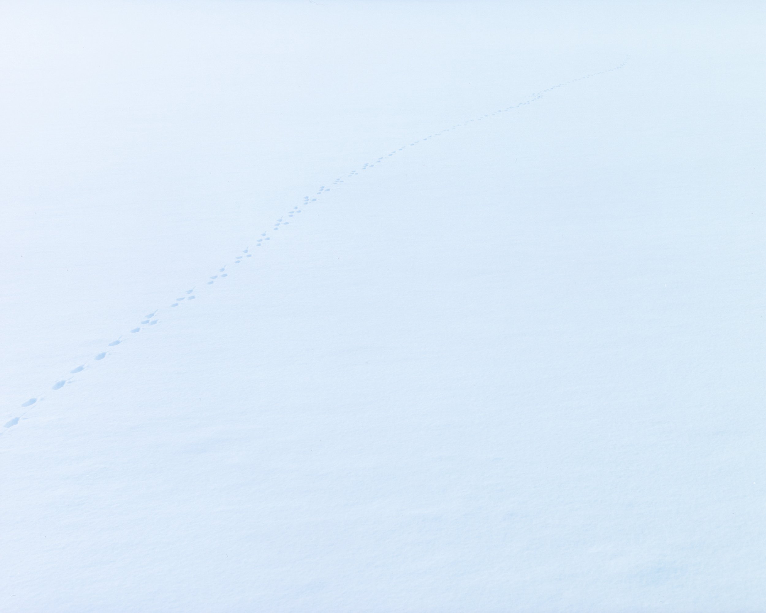 img20250522_12591275 1.jpg