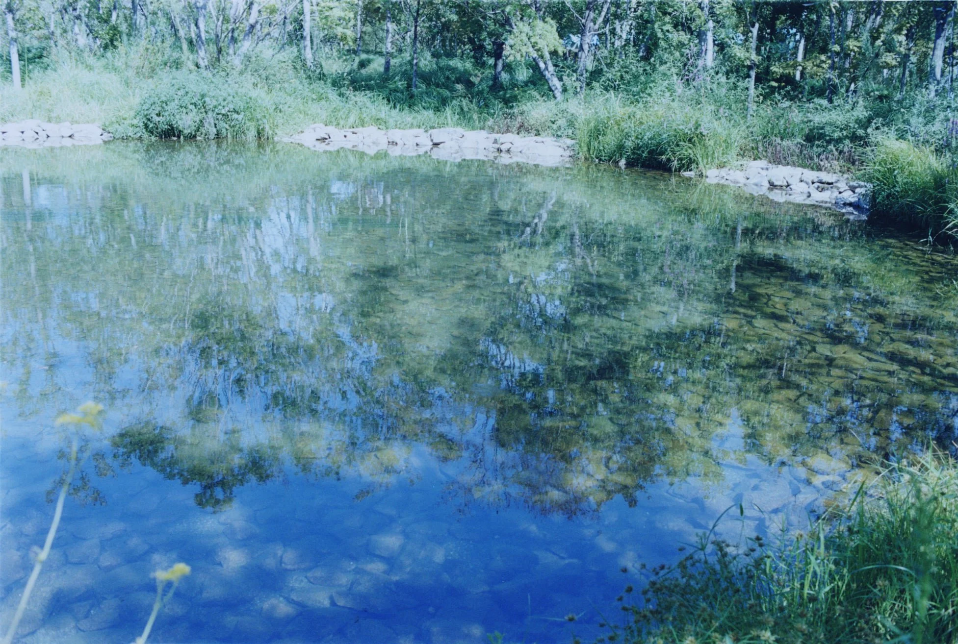 img20251014_17514836 2.jpg