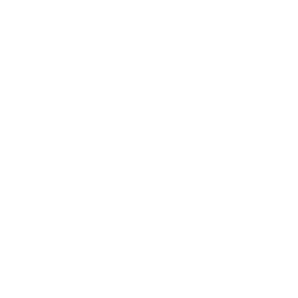Vyrsion - Be your Best