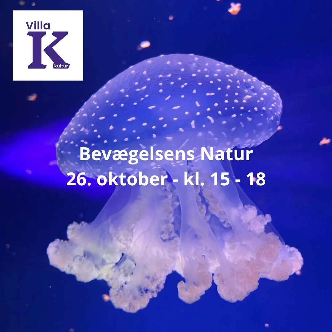 The Nature of Movement - link in bio 🌟 Art/Science Salon at Villa Kultur Oct. 26. 🌟 Concept by Musician Eske N&oslash;rrelykke and Light Researcher Stine Louring 📸 @stinelouring 2025 

Lighting design: @actually_seung, @_di3go99 and @martamonros 
