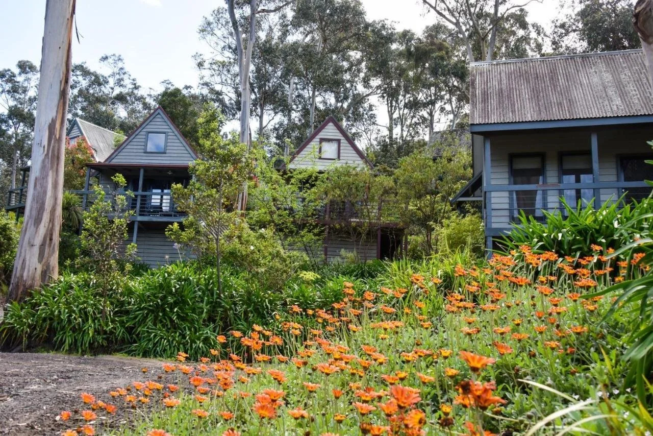 LBTA_GreatOceanRoadCottages_Photo3.jpeg