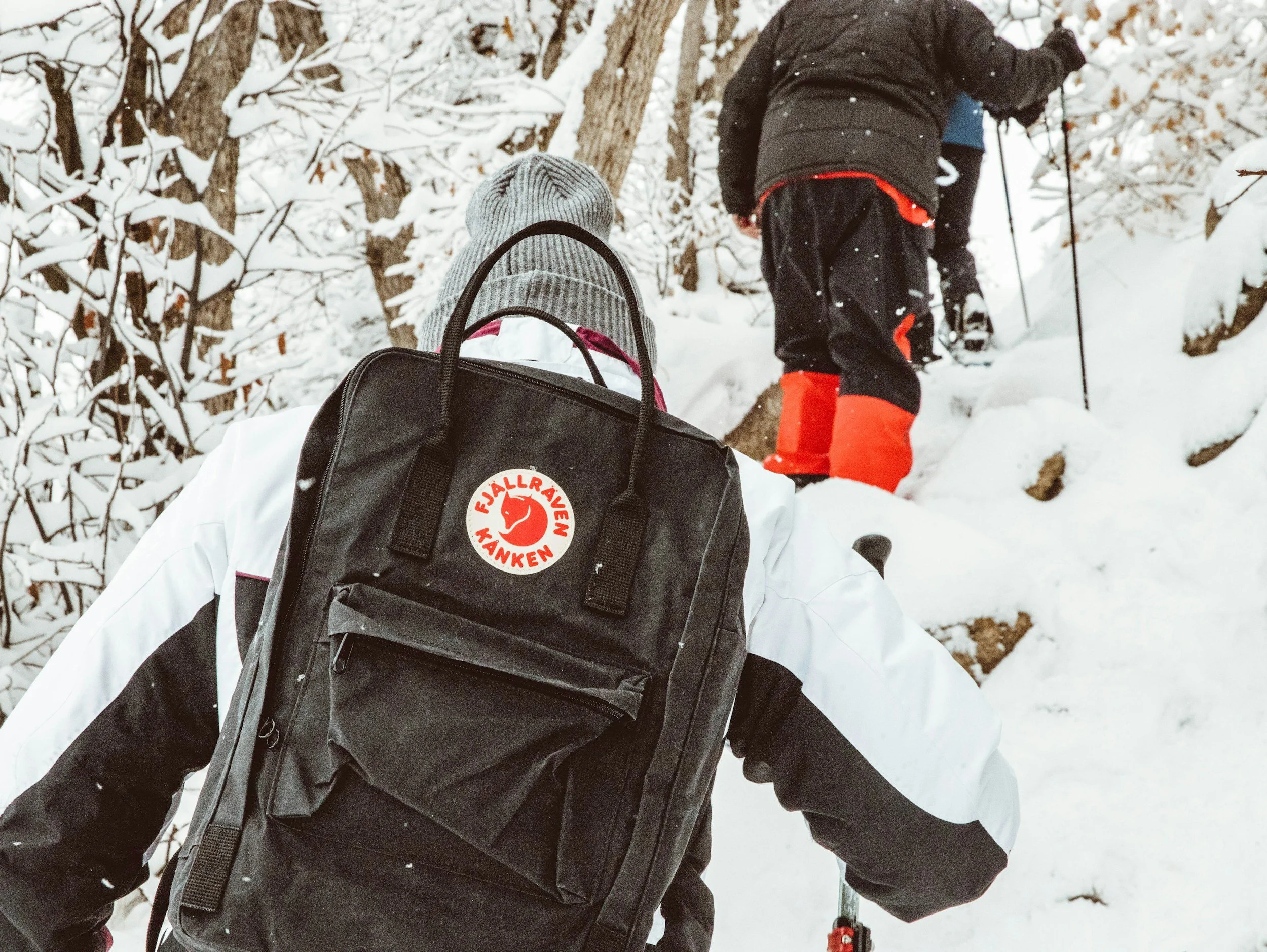 Snowshoe trek in the forest