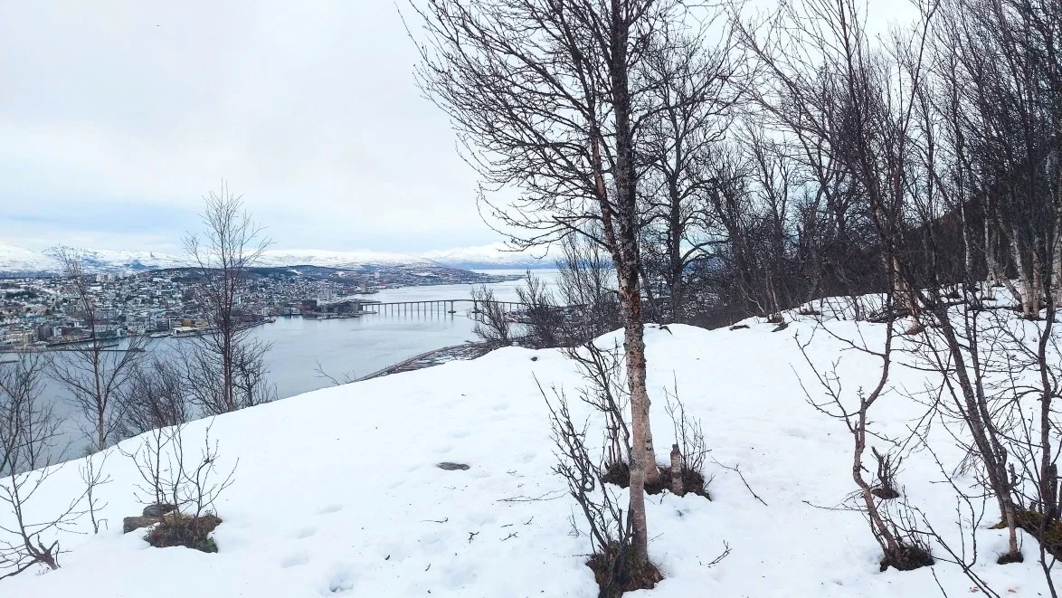 View of Tromso on guided snowshoe tour
