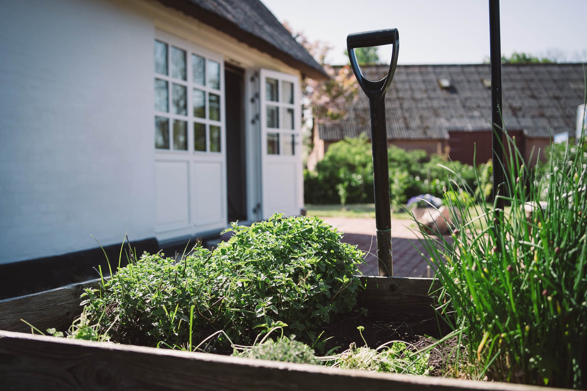 Tina Pontoppidan Galleri-20.JPG