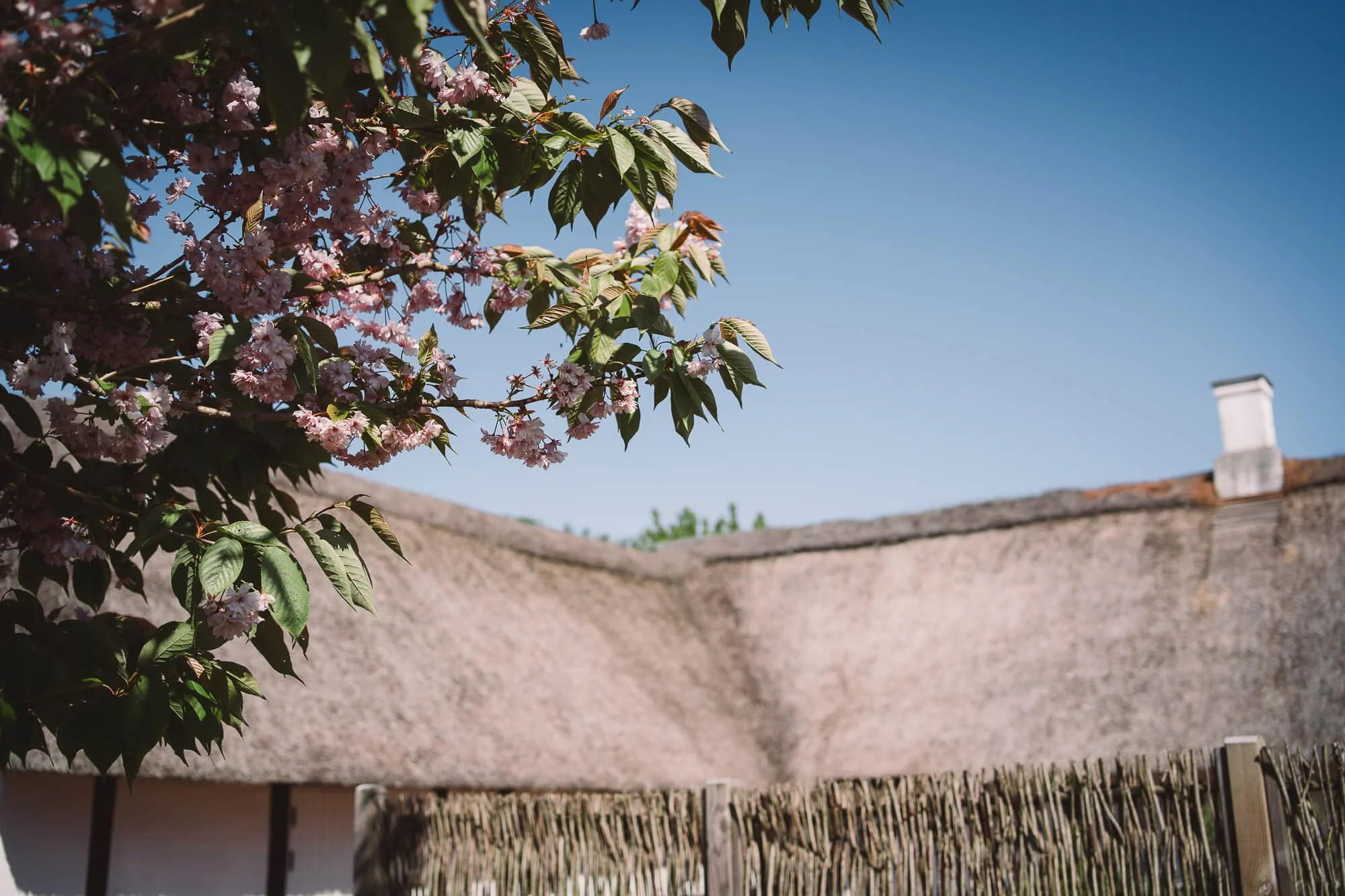 Tina Pontoppidan Galleri-17.JPG