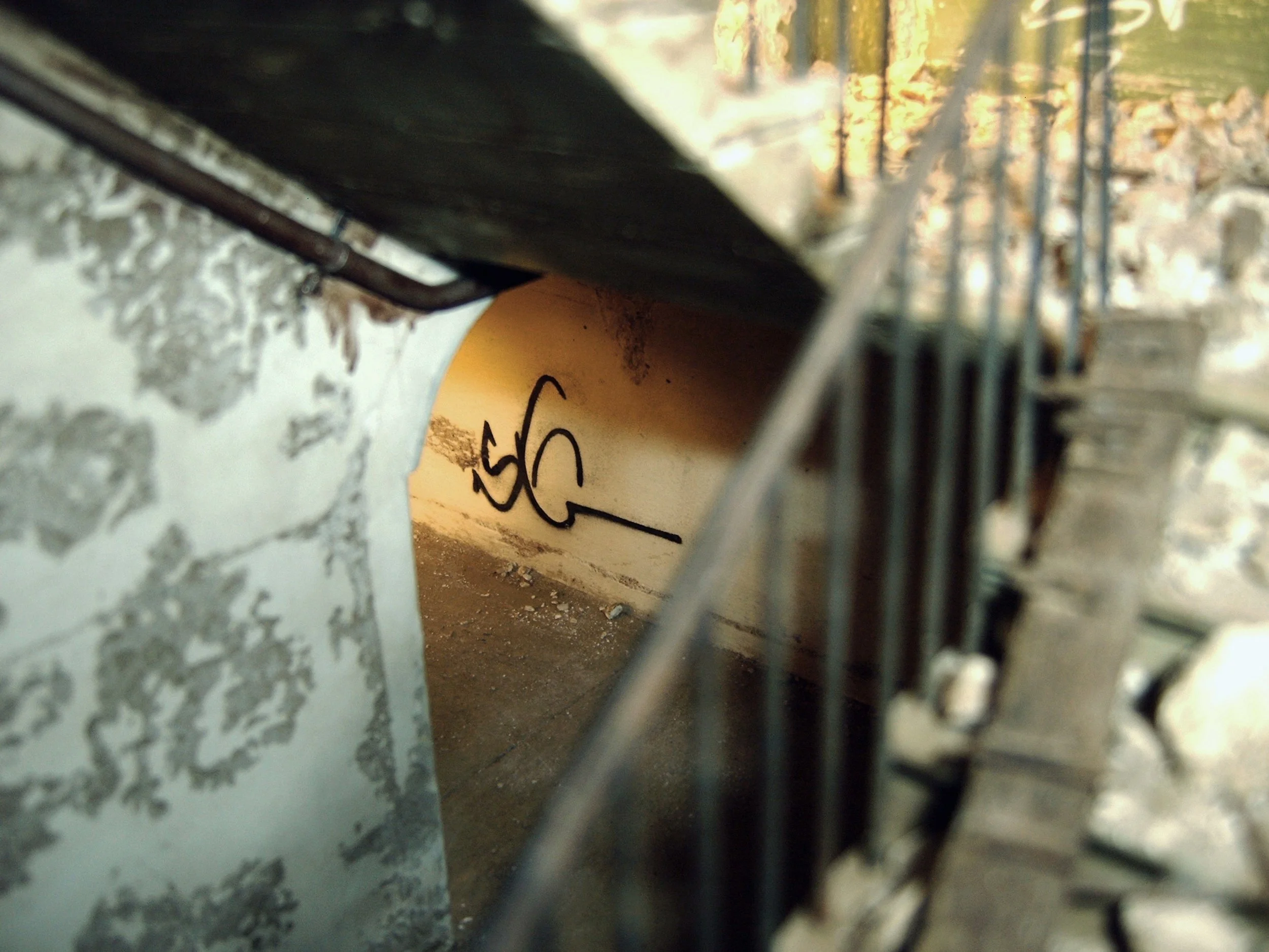 IMG00081-R.jpg