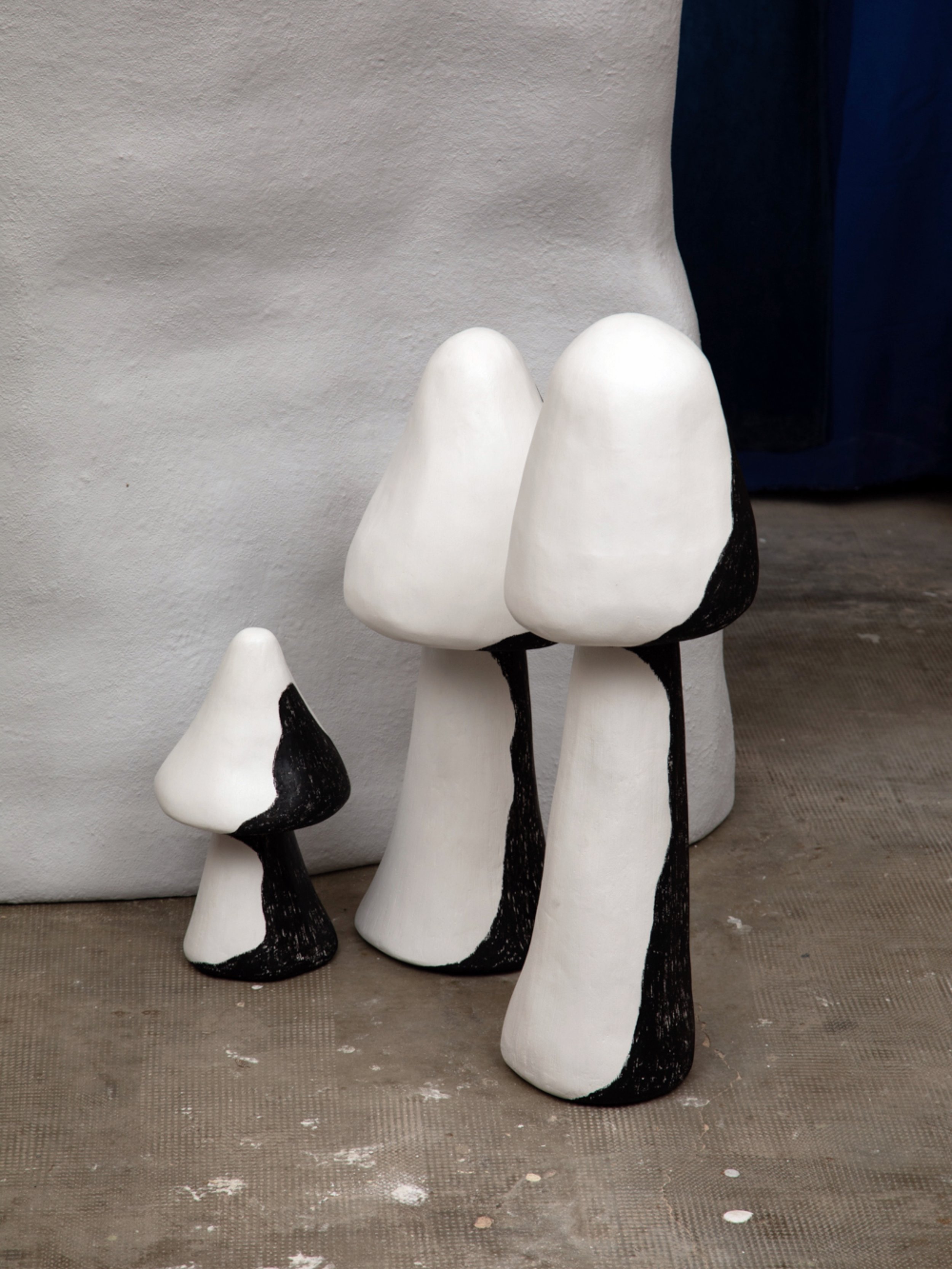 Champignons-détails-3.jpg