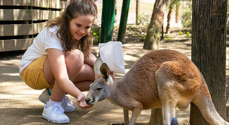 Currumbin Wildlife Sanctuary