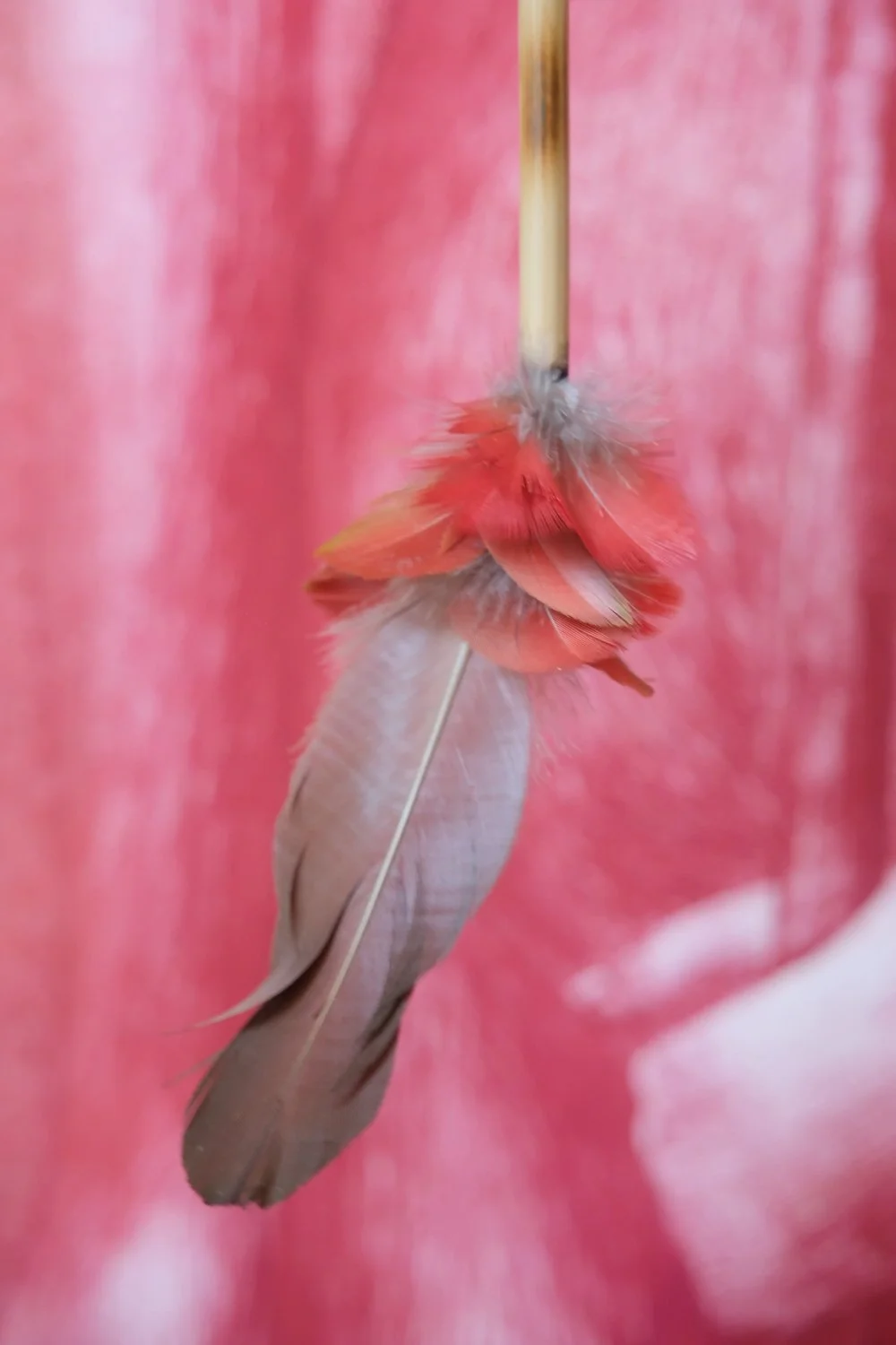 Close-up van een veer met rood en grijs pluimen, hangt aan een houten stokje, met een roze en nepig achtergrond.