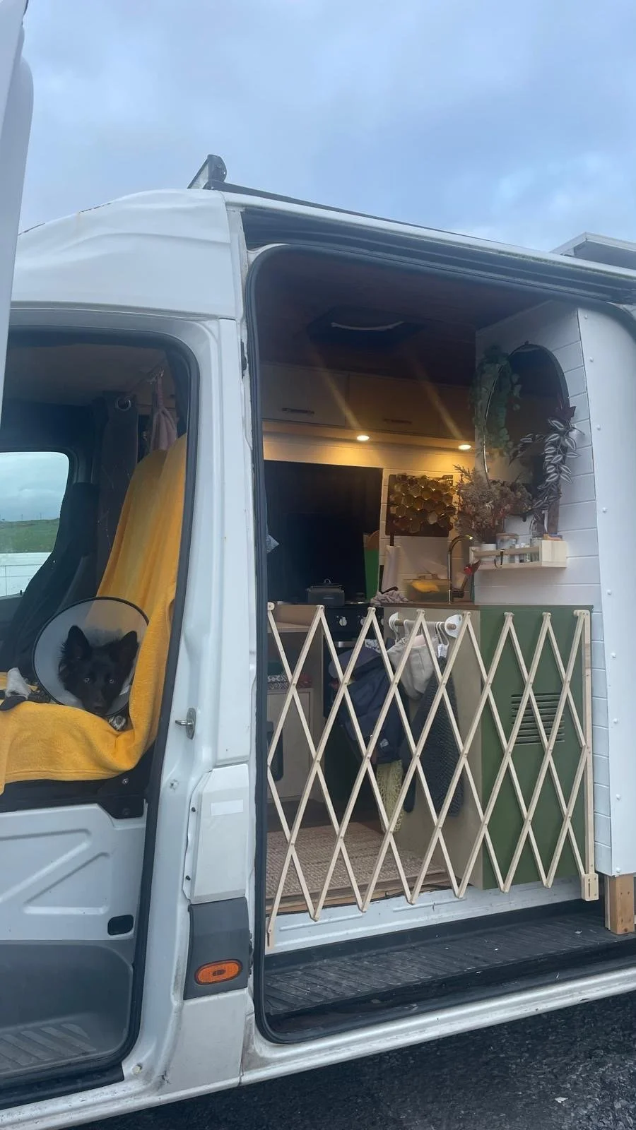 A white van converted into a tiny home with a cozy interior. The driver's seat has a black and white dog laying on a yellow blanket. Inside the van, there are small kitchen shelves, a sink, dried flowers, and a backpack hanging on the wall.