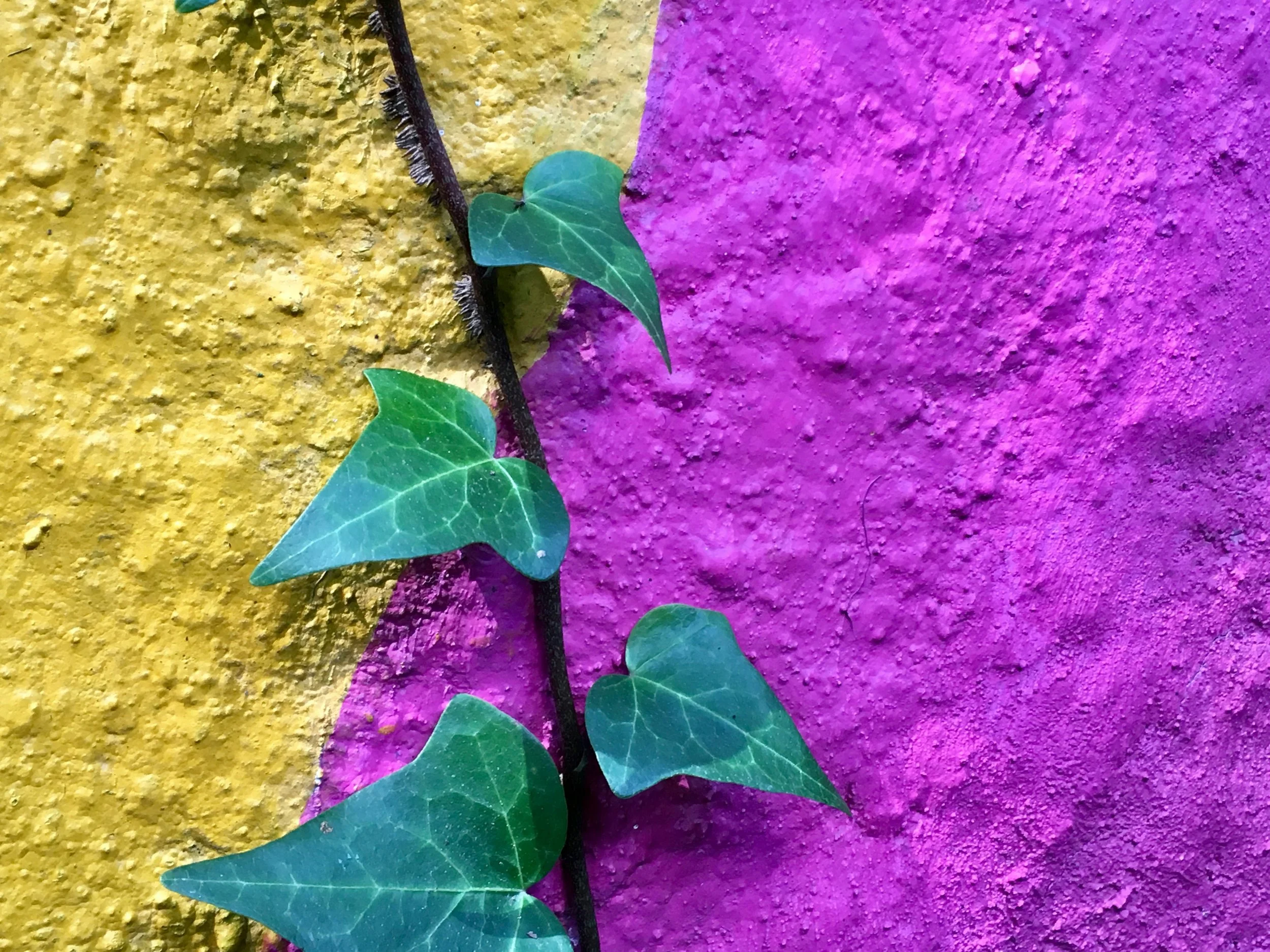 Rethinking Resilience: Why I Still Use a Word Many People Dislike