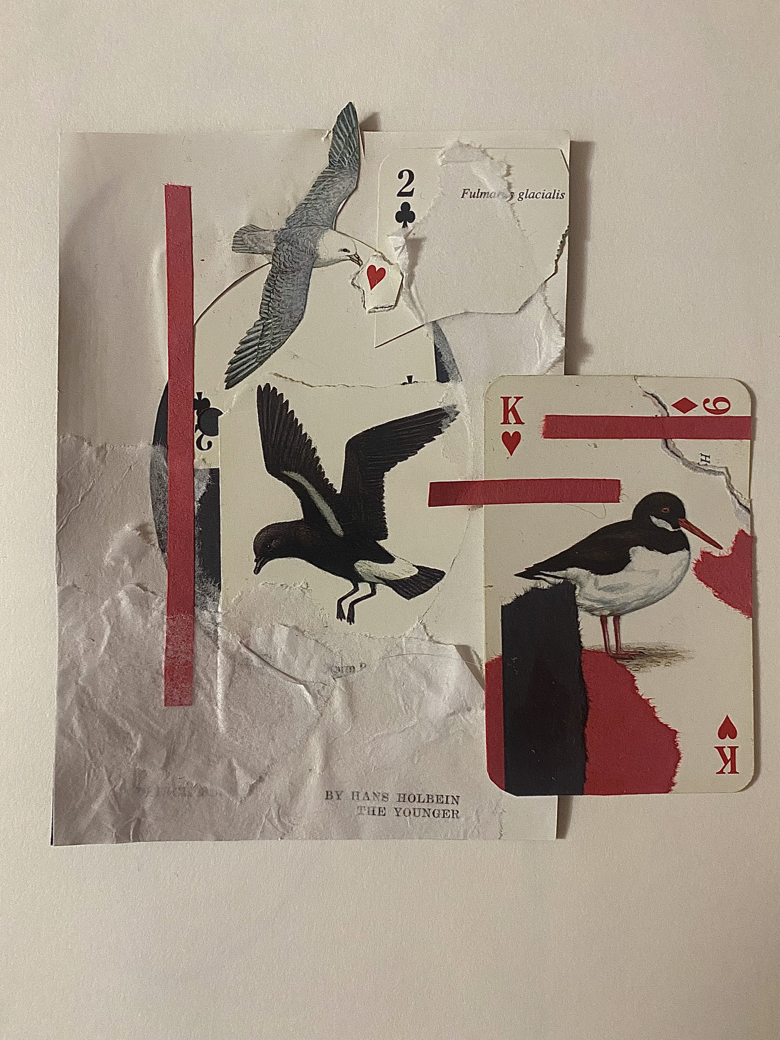 collage2.jpeg
