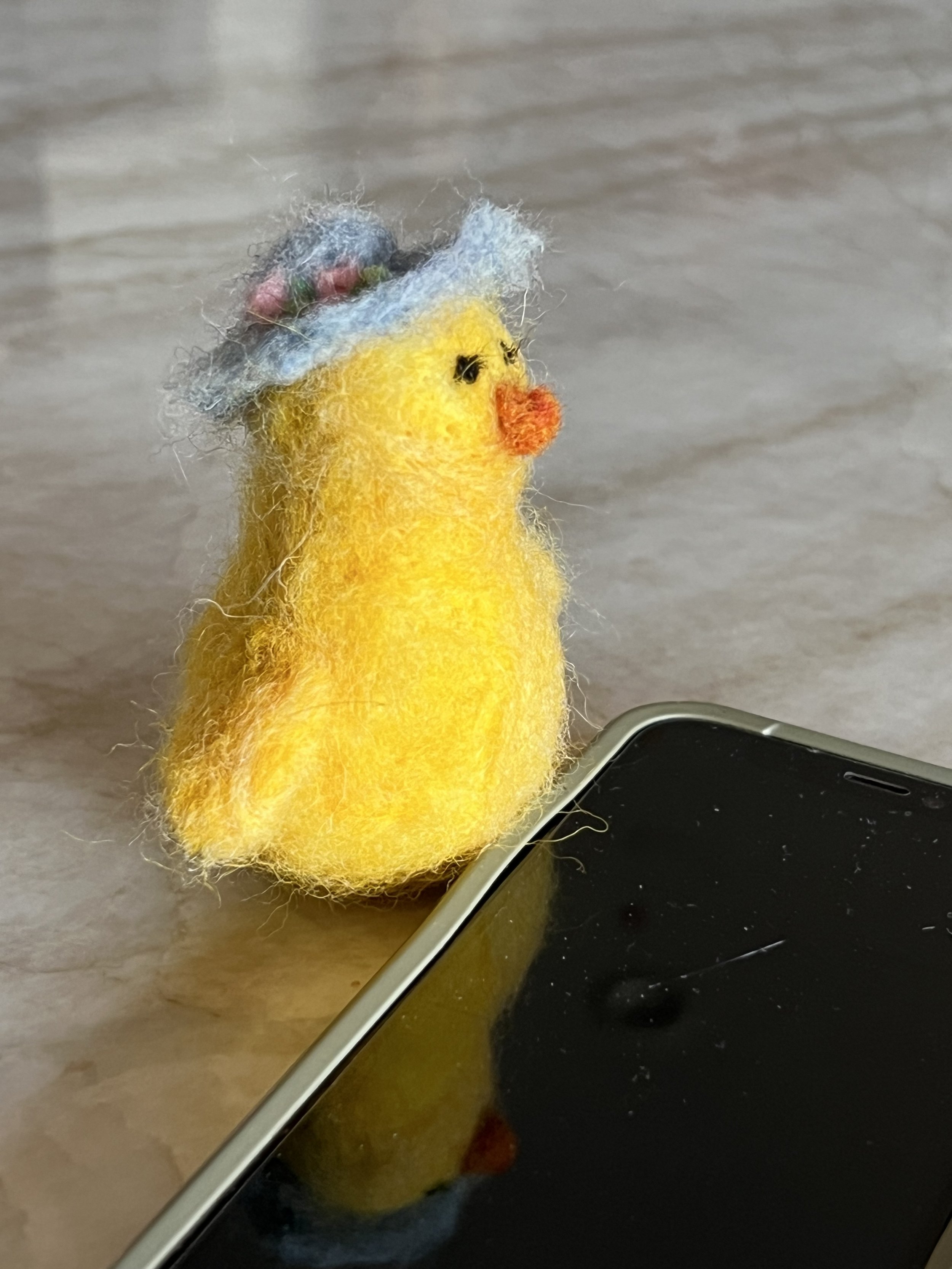 project: felting
topic: persistence and focus can build beautiful outcomes