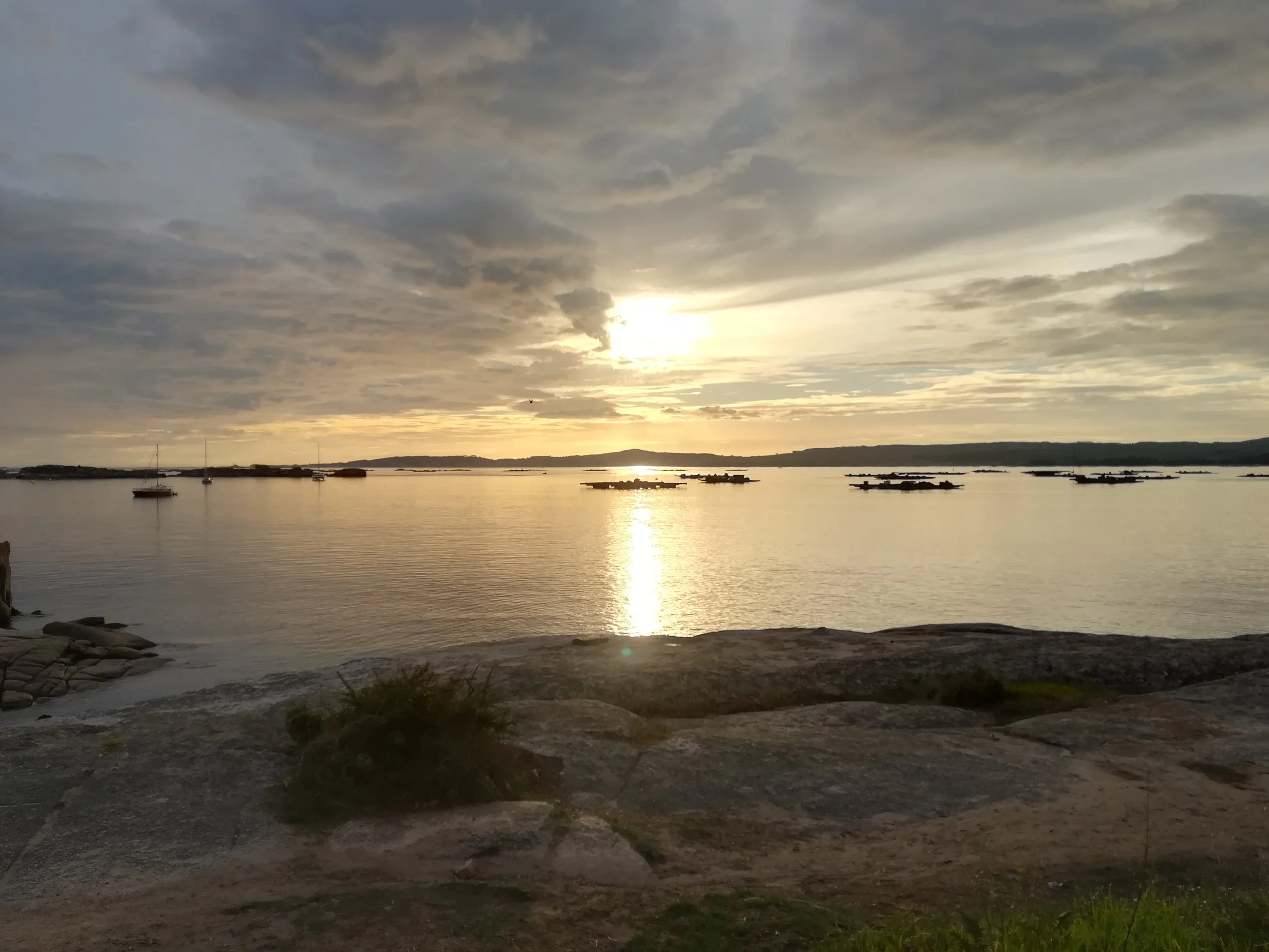 A serene waterfront scene with calm water, boats anchored, and a cloudy sky at sunset or sunrise.