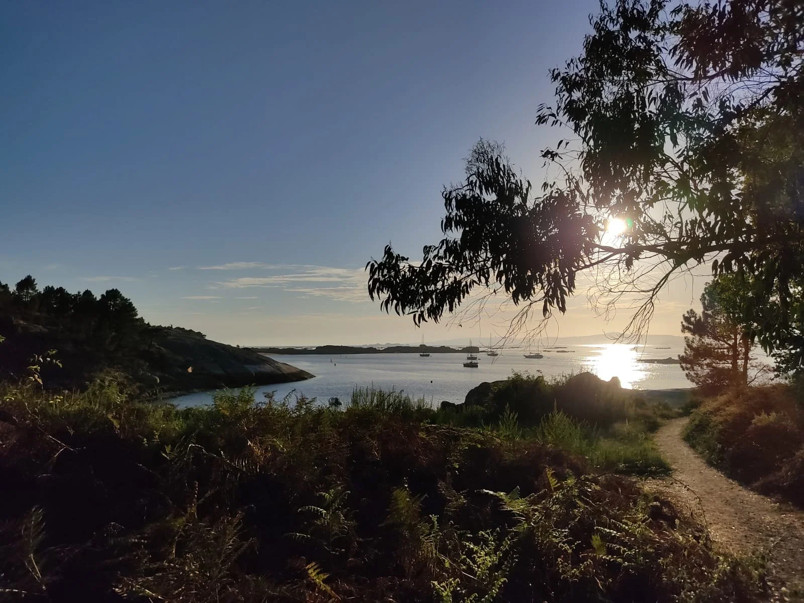 Coastal landscape with a dirt path, trees, calm water with boats, rocky shoreline, and the sun setting or rising over the horizon.