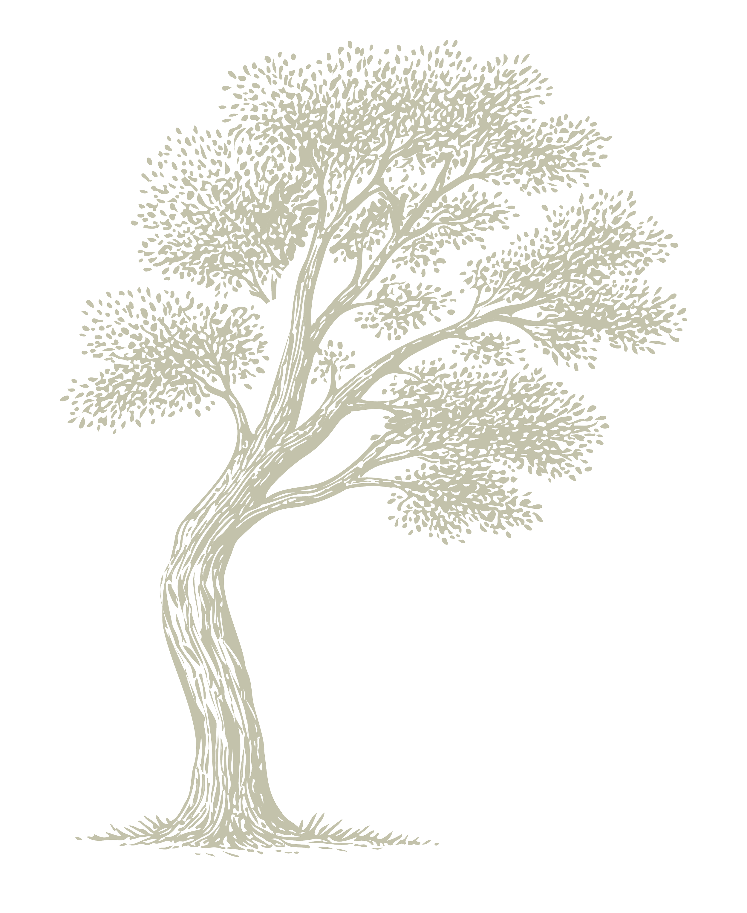 Illustration of a tall, curved tree with a textured trunk and dense, leafy canopy.