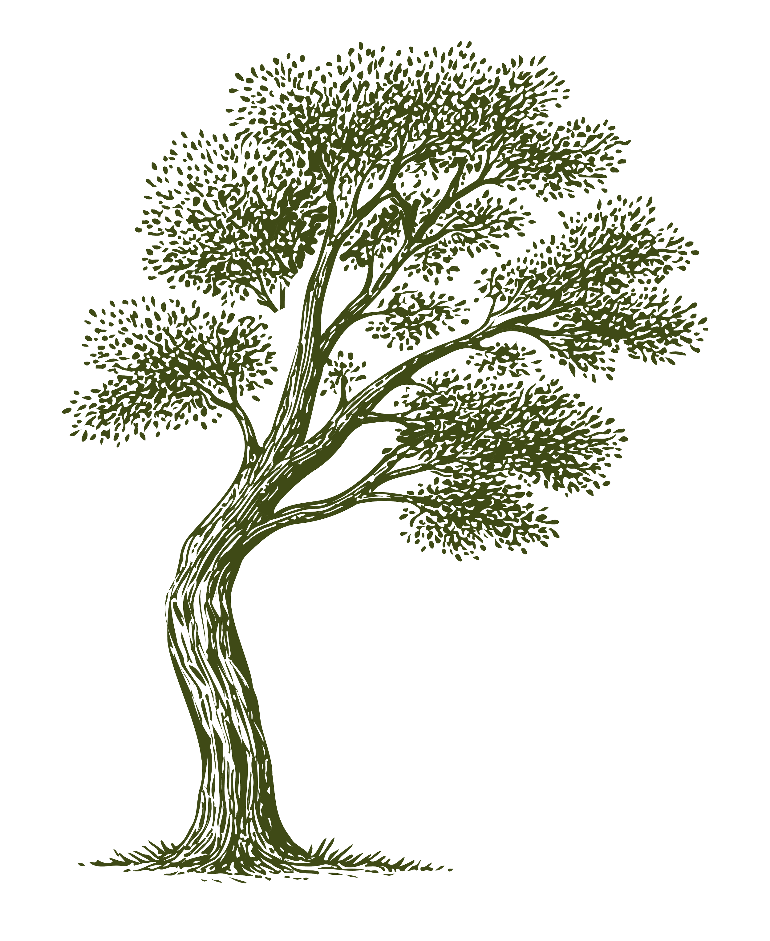 Illustration of a tall, green, leafy tree with a slightly curved trunk and dense foliage against a black background.