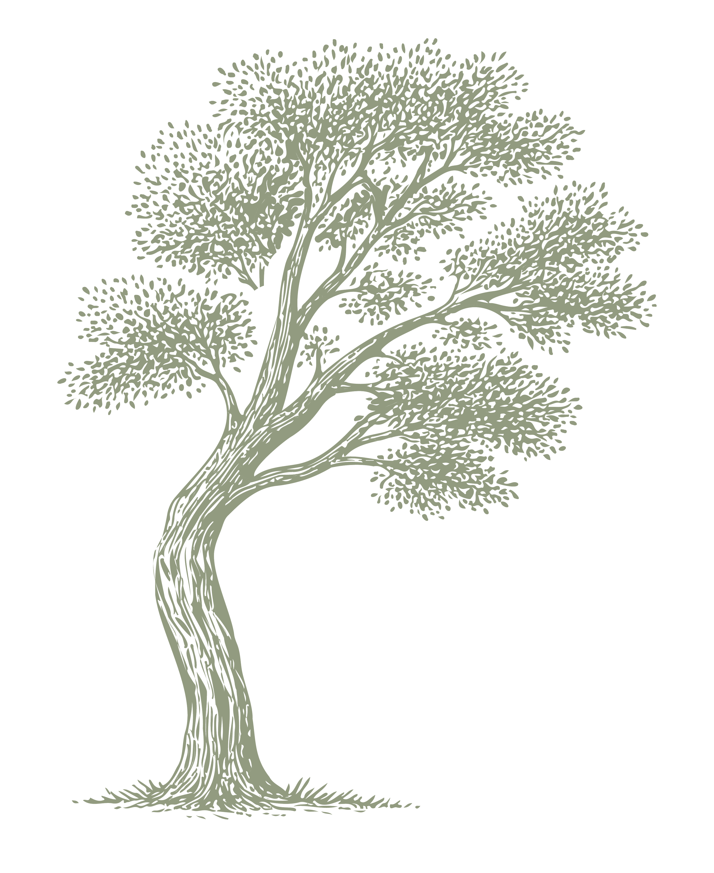 Illustration of a leafy tree with a curved trunk and numerous branches.