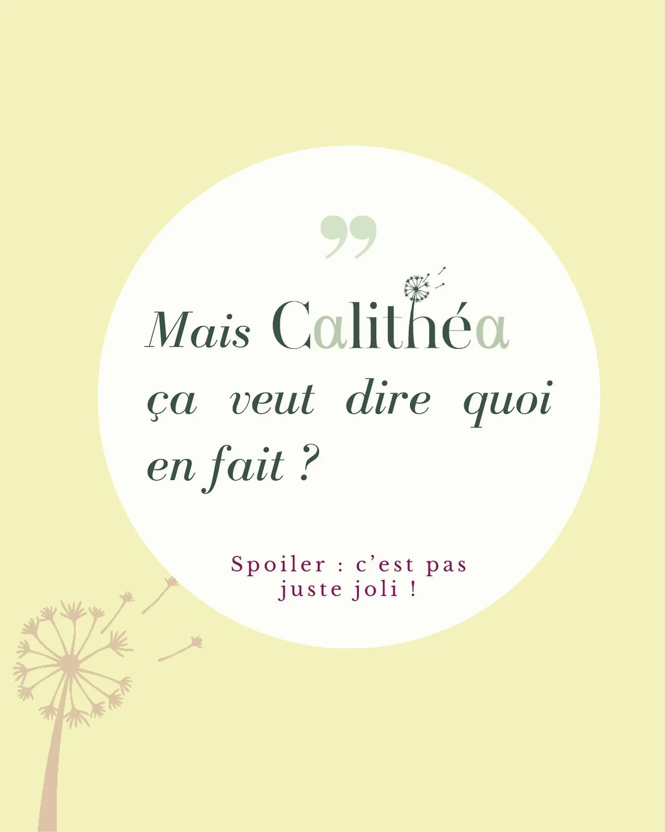 ✨ Pourquoi le nom &laquo; Calith&eacute;a &raquo; ?
Tu crois que j&rsquo;ai pris ce nom parce qu&rsquo;il &laquo; sonne bien &raquo; ?
Spoiler : non.

J&rsquo;ai cherch&eacute; un nom qui incarne ce que je voulais vraiment cr&eacute;er :
🌿 un busine
