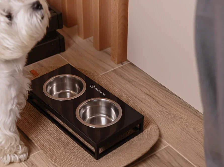 mangeoire lunch bar stone 5.webp