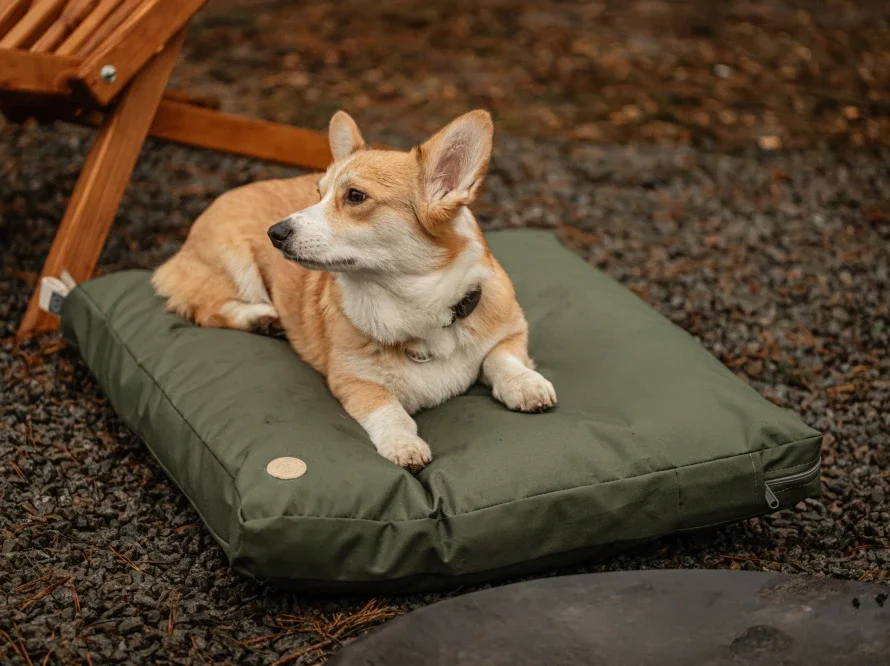 Coussin voyage 10.webp