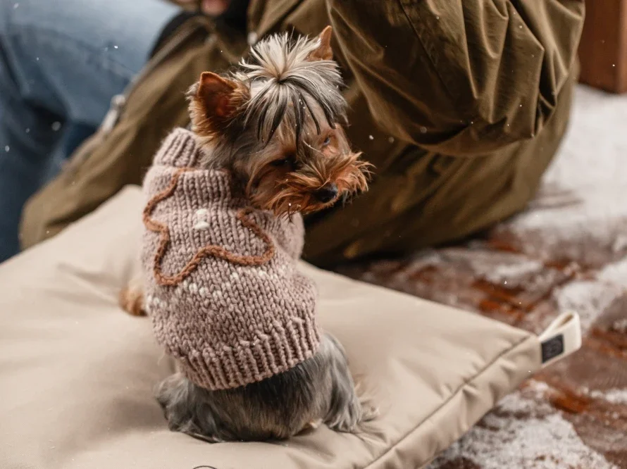 Le Coussin Cosy — le couchage toute saison