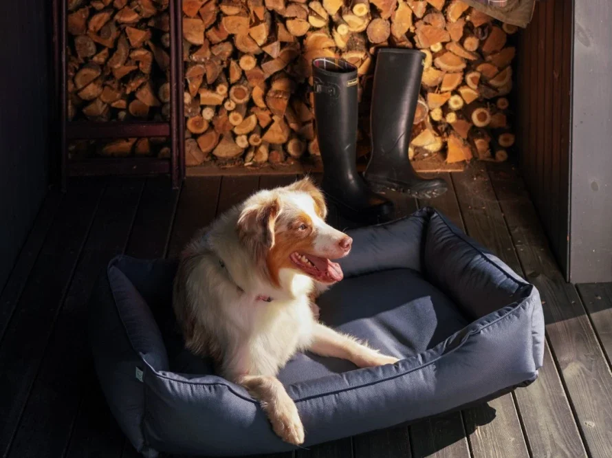 dreamer waterproof 8.webp