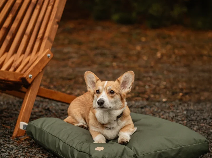 Coussin voyage 11.webp