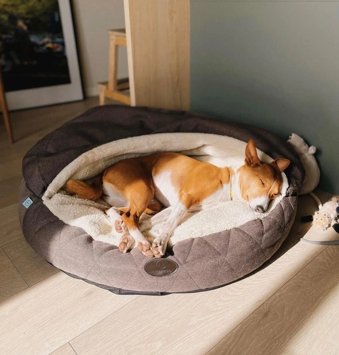 panier ovale couverture integree 1.webp