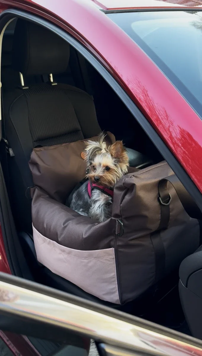 siege auto inclinable 12.webp