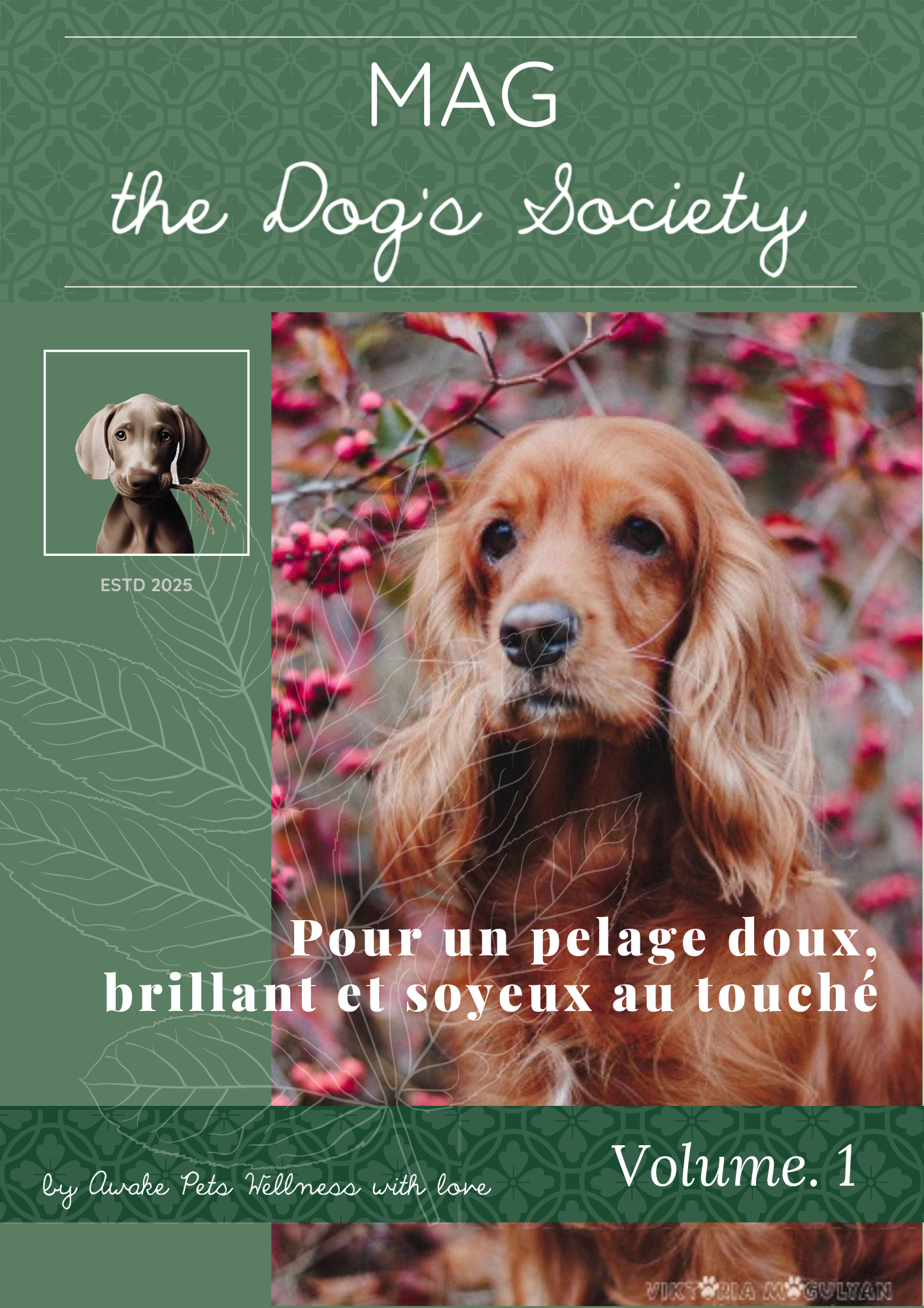 pour un pelage doux, brillant et soyeux au touché