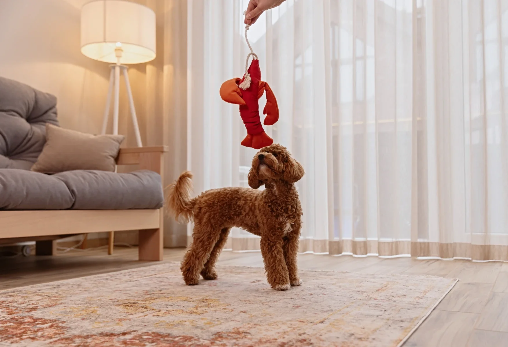 Jouet red crop 5.webp