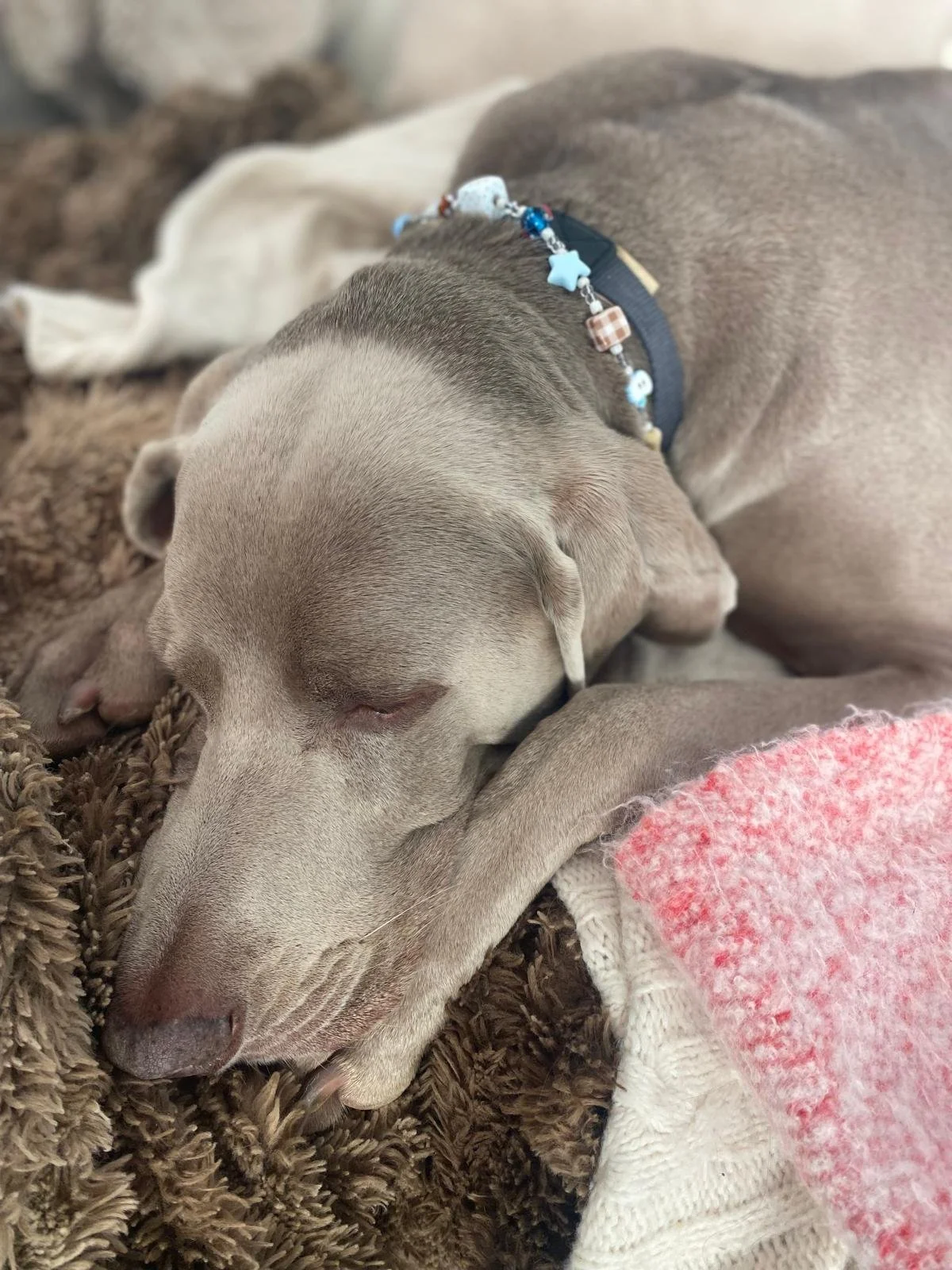 collier perles acryliques 5.jpeg