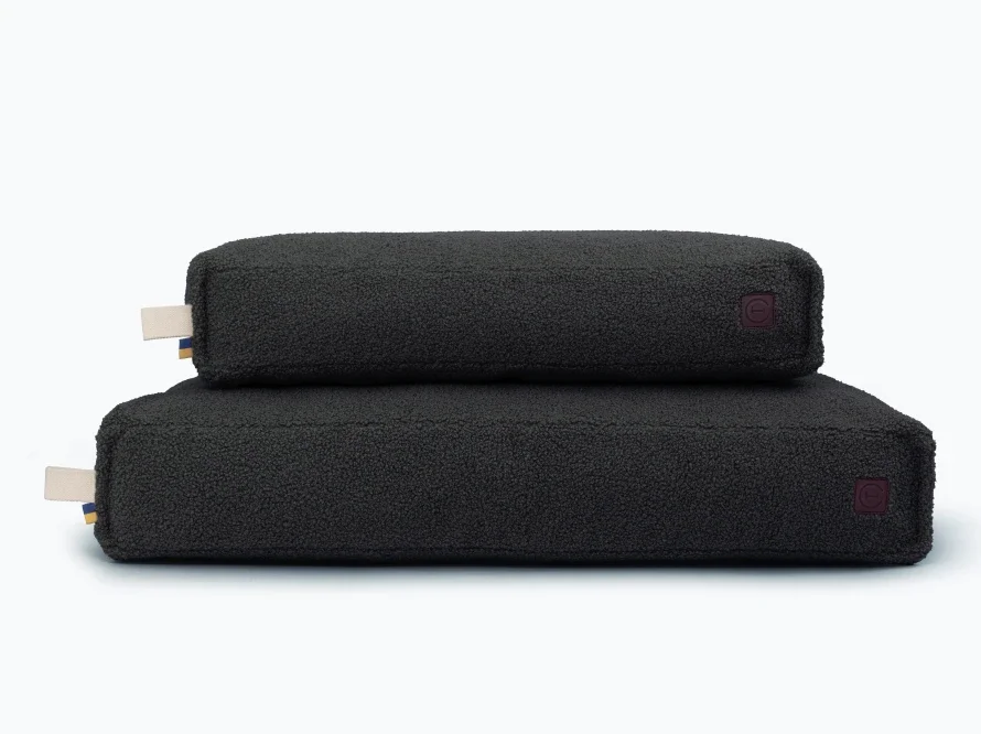 memory foam teddy 16.webp