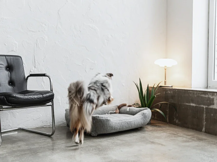 Pet Bed Dreamer Fur gray b 31037090710 711 712 713.webp