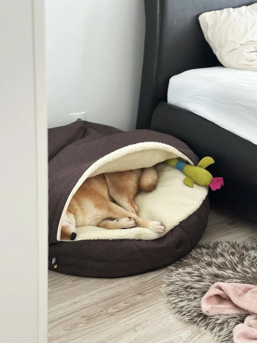 panier ovale couverture integree 6.webp