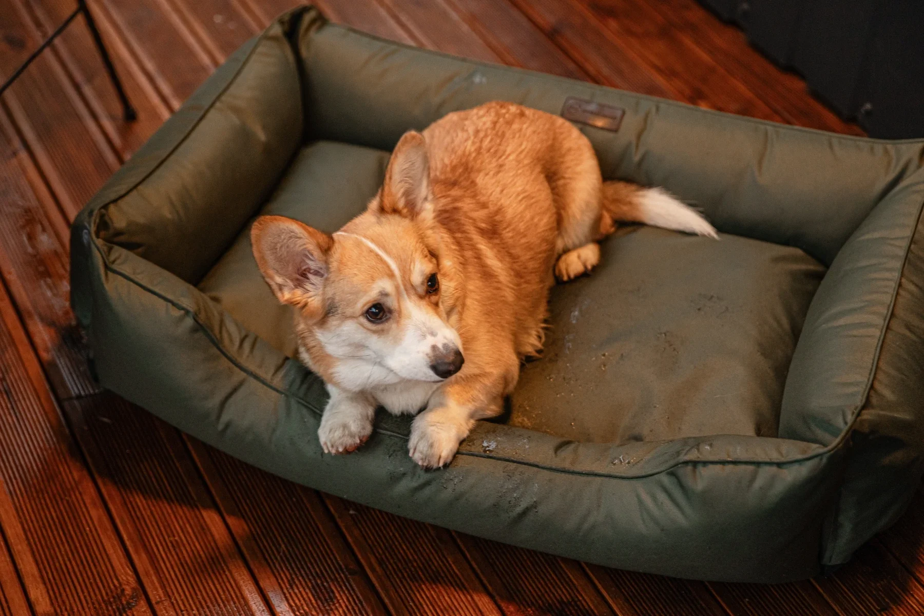 dreamer waterproof 6.webp