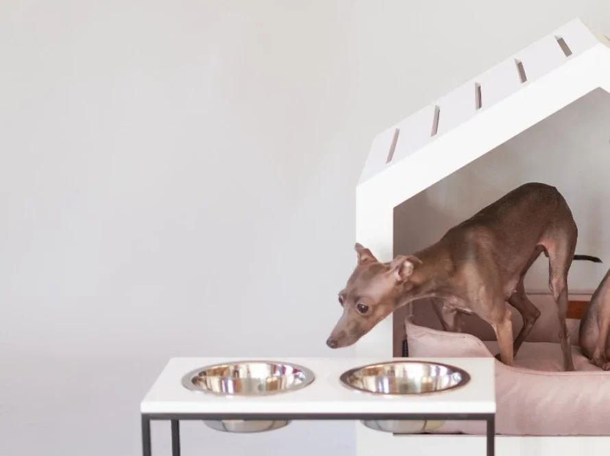 mangeoire lunch bar stone 3.webp