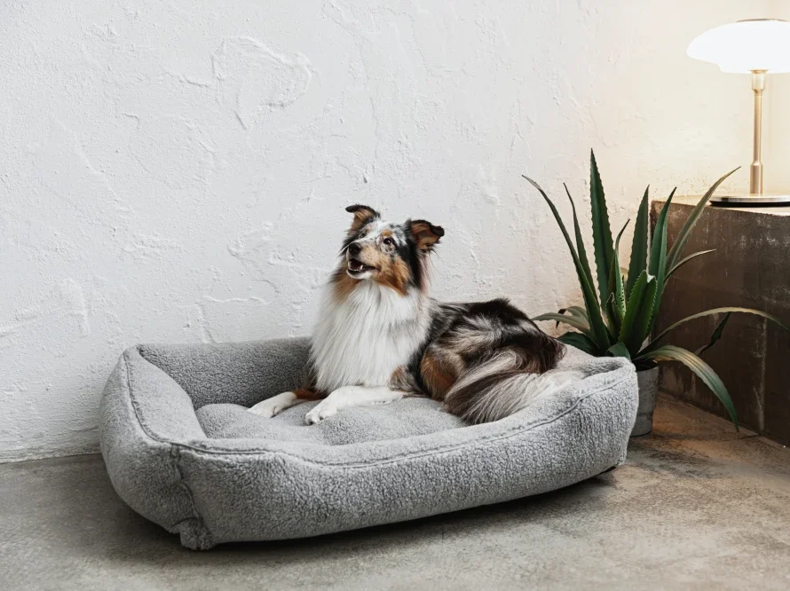 Pet Bed Dreamer Fur gray a 31037090710 711 712 713.webp