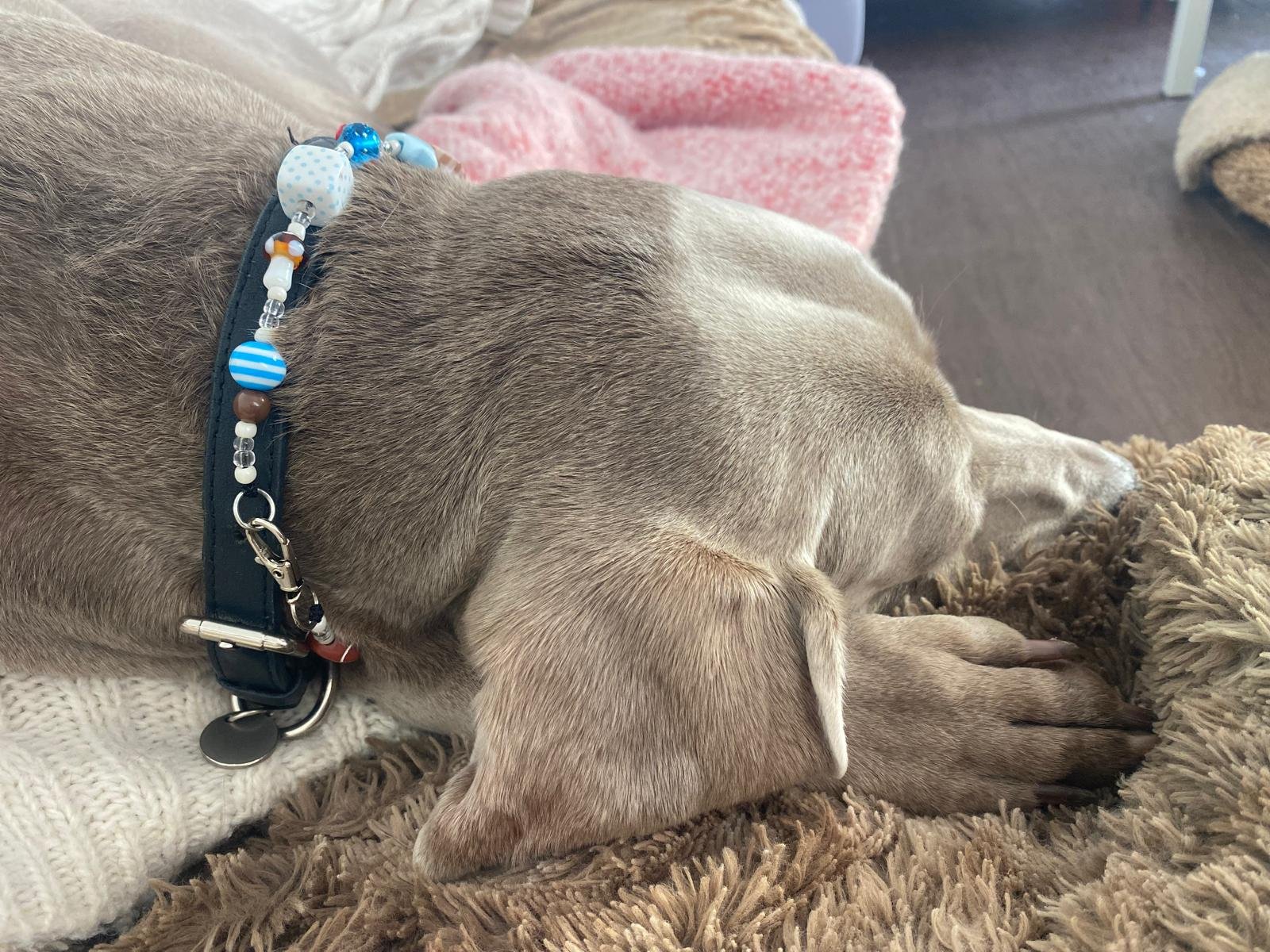 collier perles acryliques 6.jpeg