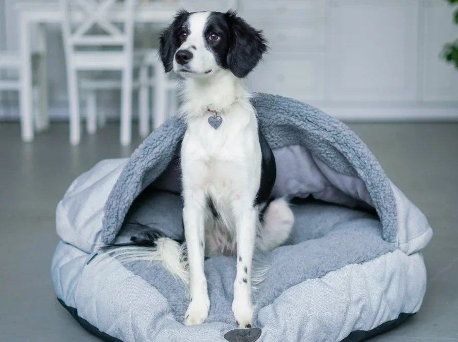 panier ovale couverture integree 8.webp